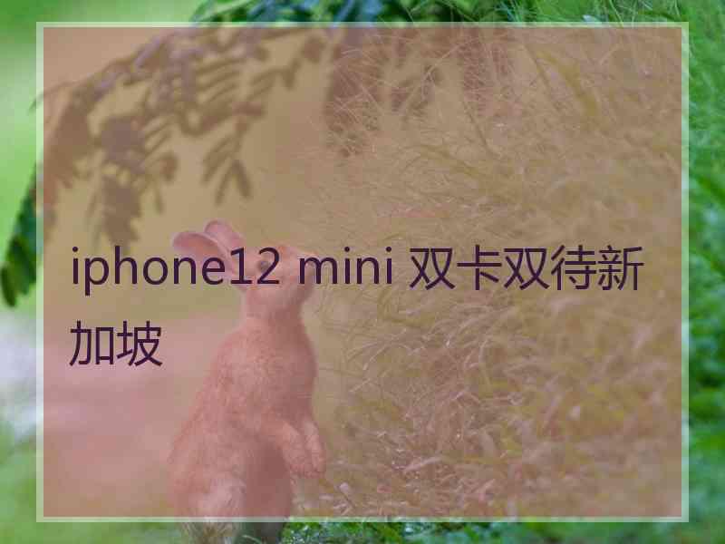 iphone12 mini 双卡双待新加坡