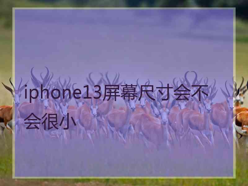 iphone13屏幕尺寸会不会很小