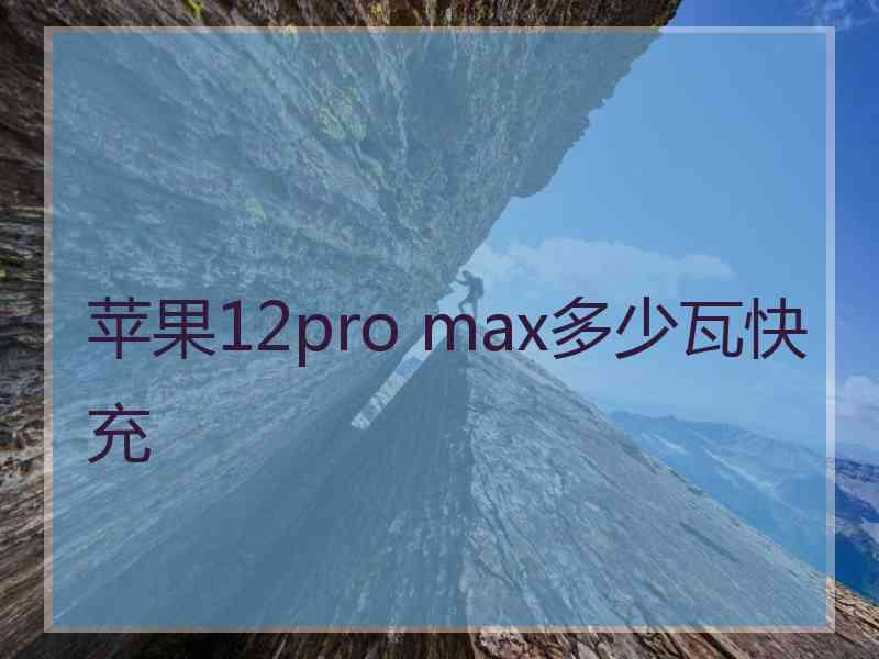 苹果12pro max多少瓦快充