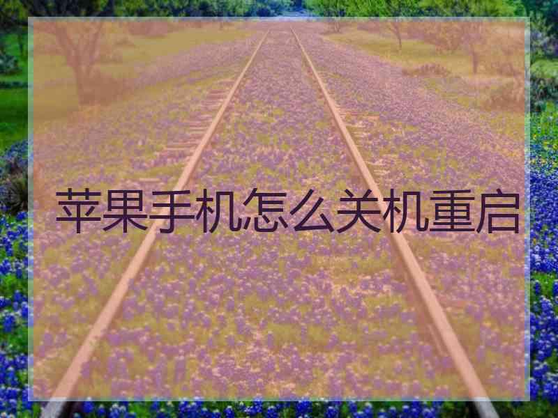 苹果手机怎么关机重启