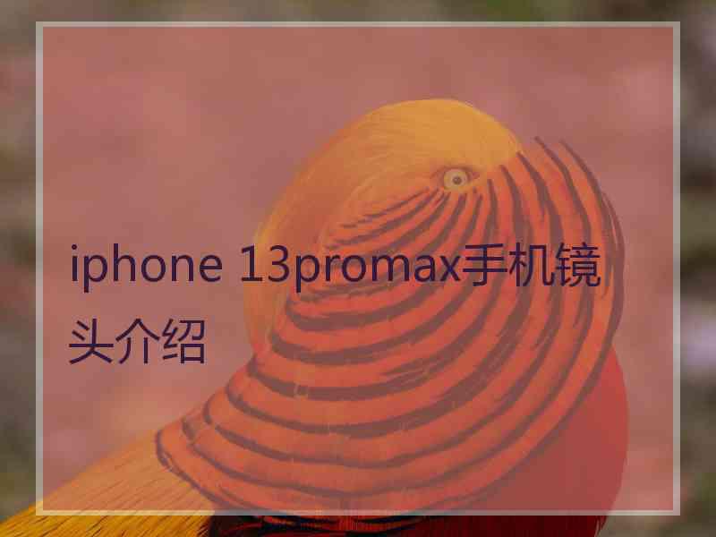 iphone 13promax手机镜头介绍