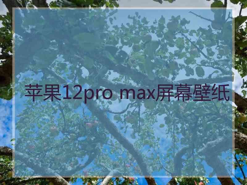 苹果12pro max屏幕壁纸