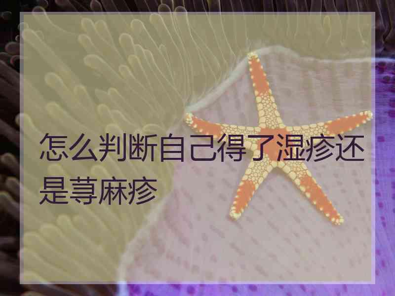 怎么判断自己得了湿疹还是荨麻疹