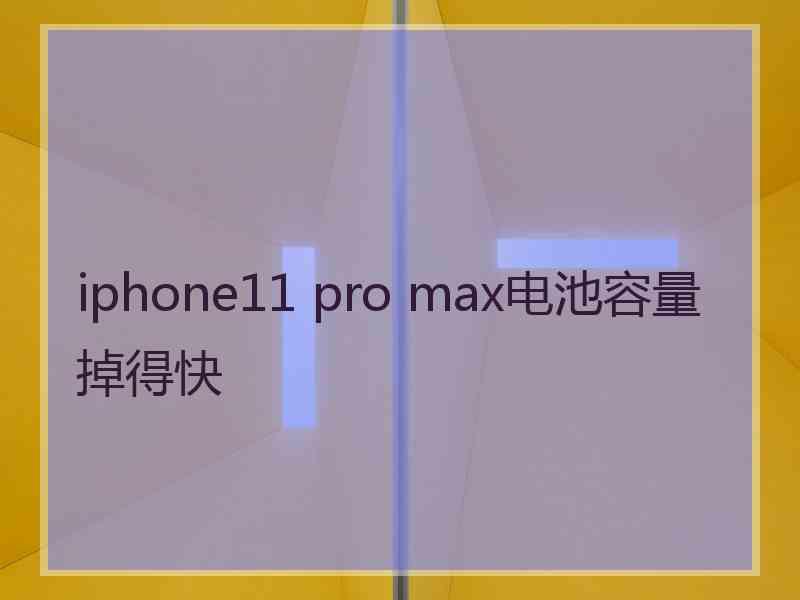 iphone11 pro max电池容量掉得快