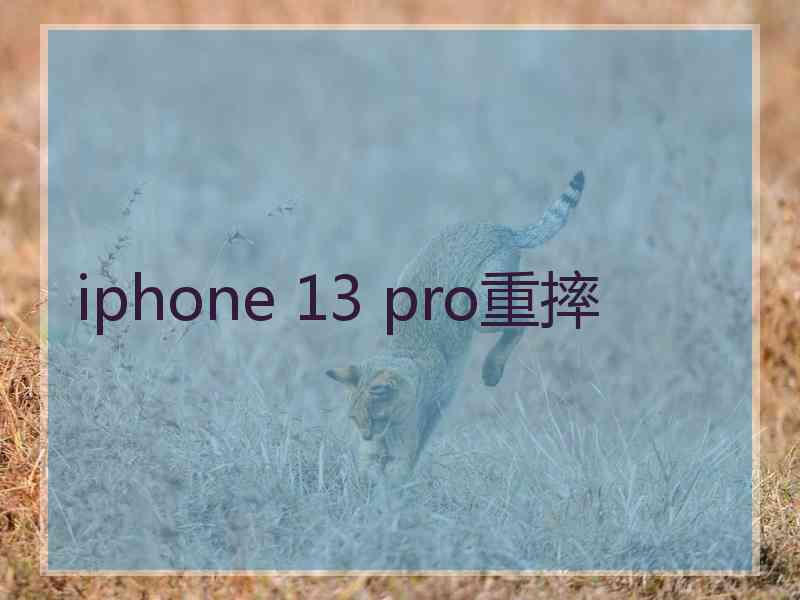 iphone 13 pro重摔