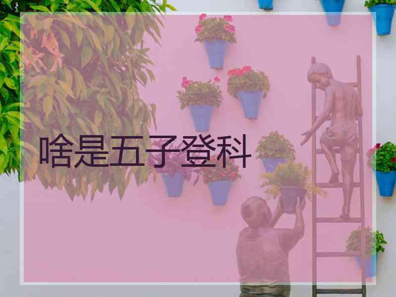 啥是五子登科