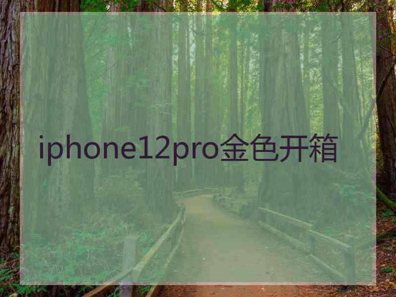 iphone12pro金色开箱