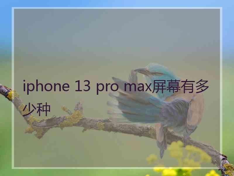 iphone 13 pro max屏幕有多少种