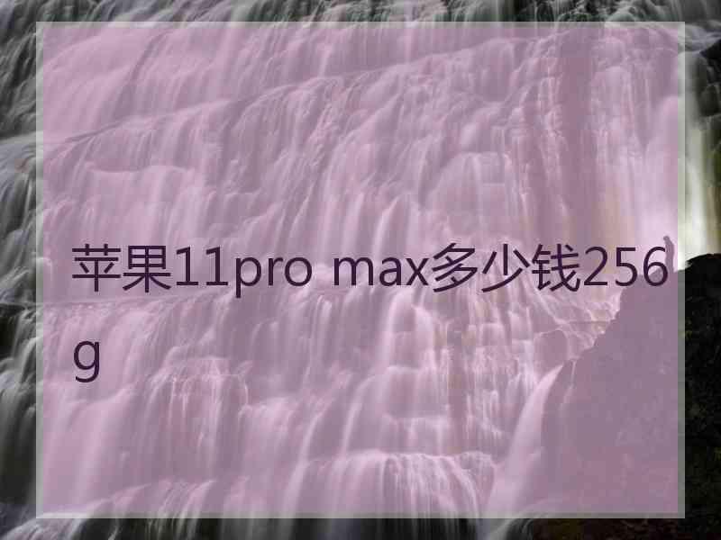 苹果11pro max多少钱256g