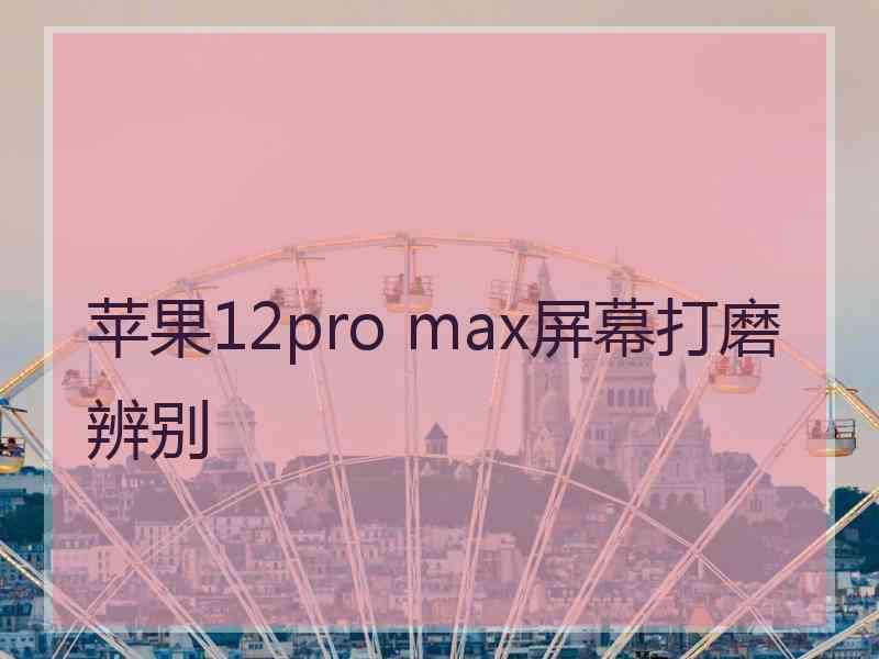 苹果12pro max屏幕打磨辨别