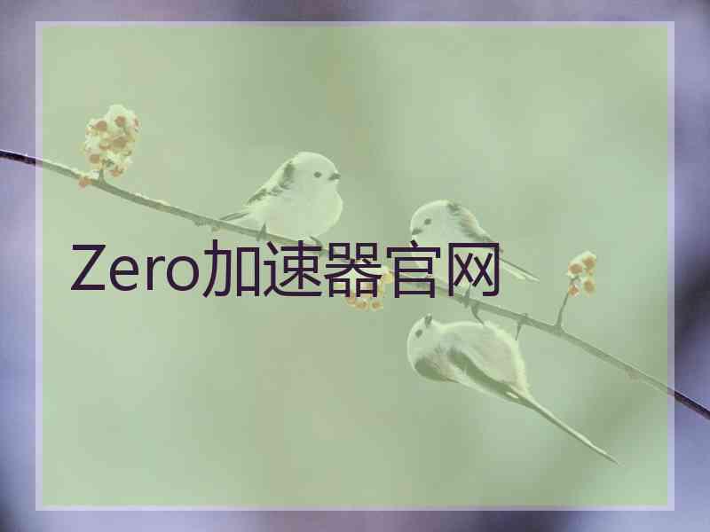 Zero加速器官网