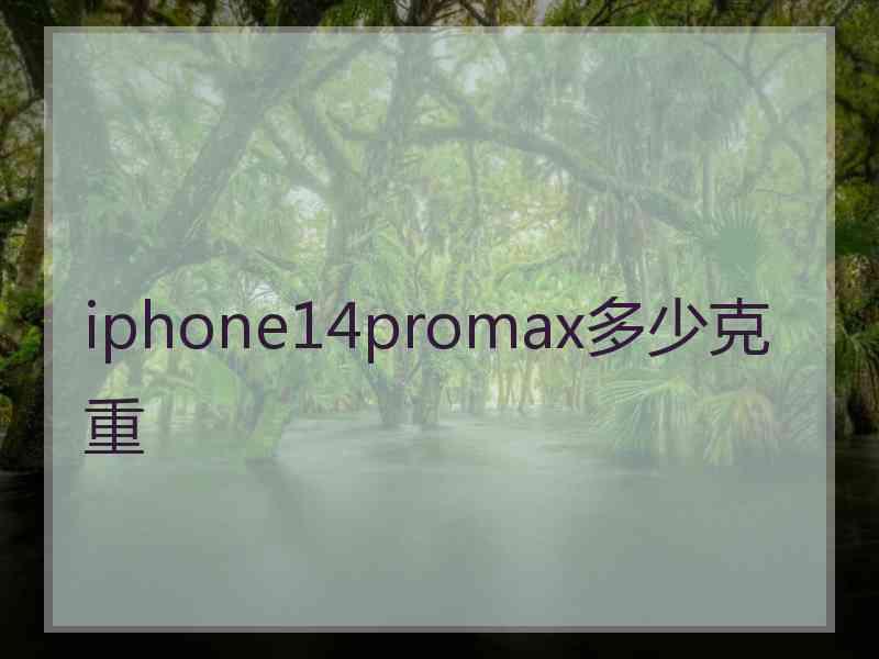 iphone14promax多少克重