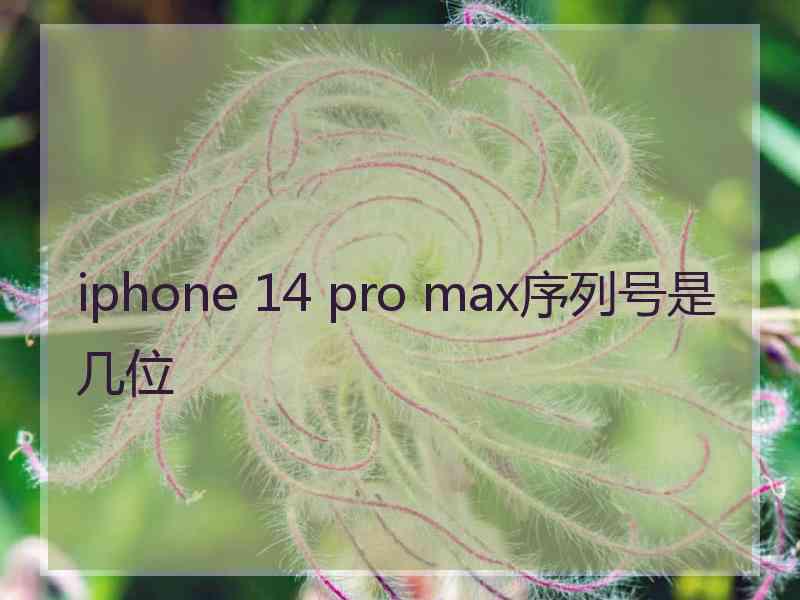 iphone 14 pro max序列号是几位