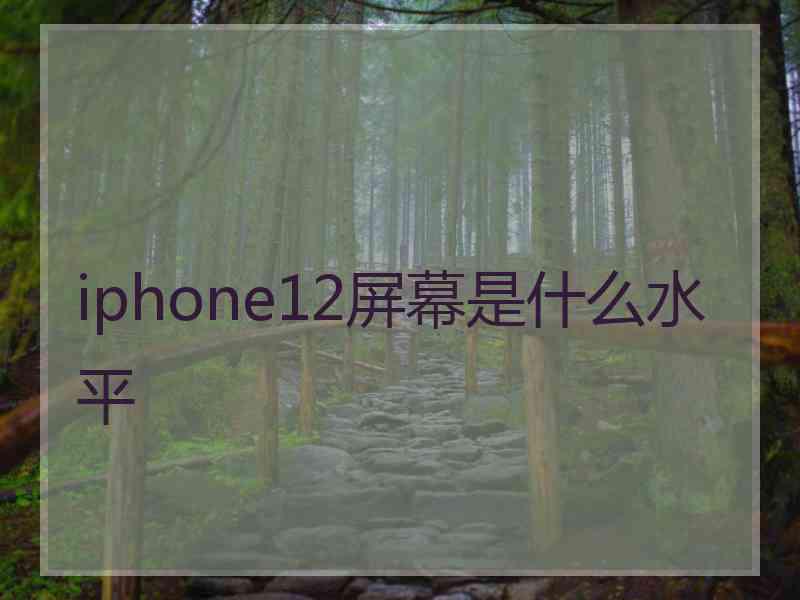 iphone12屏幕是什么水平