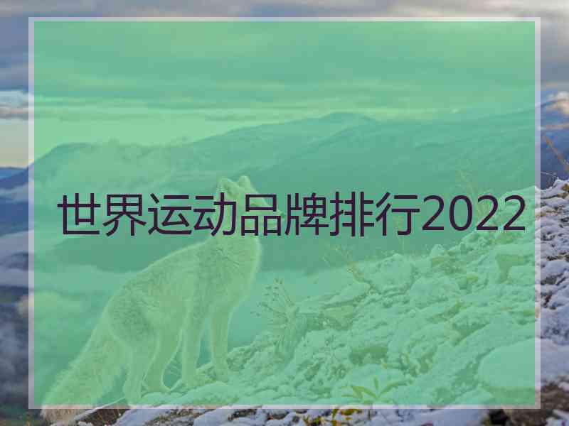 世界运动品牌排行2022