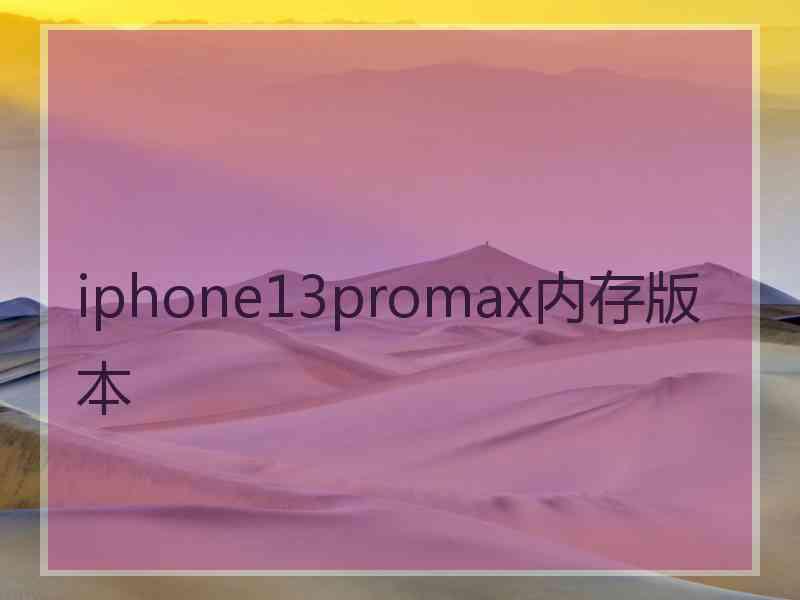 iphone13promax内存版本