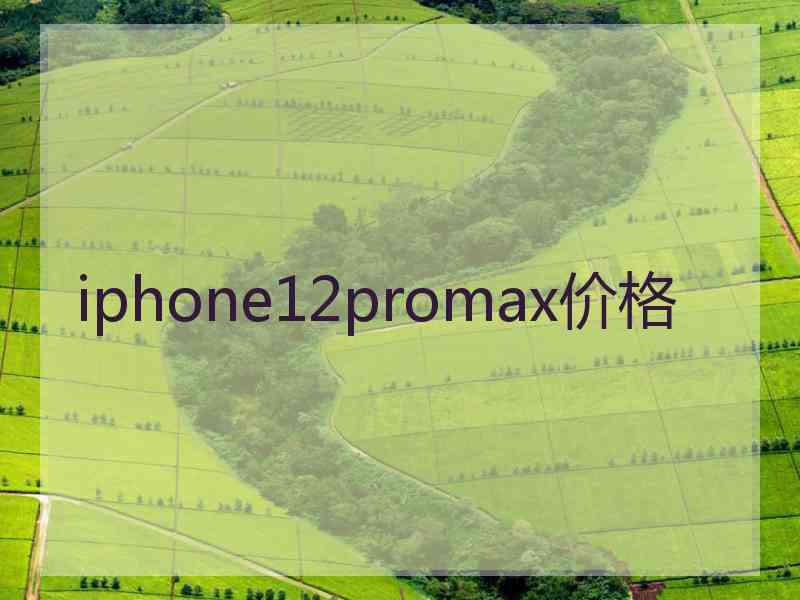 iphone12promax价格