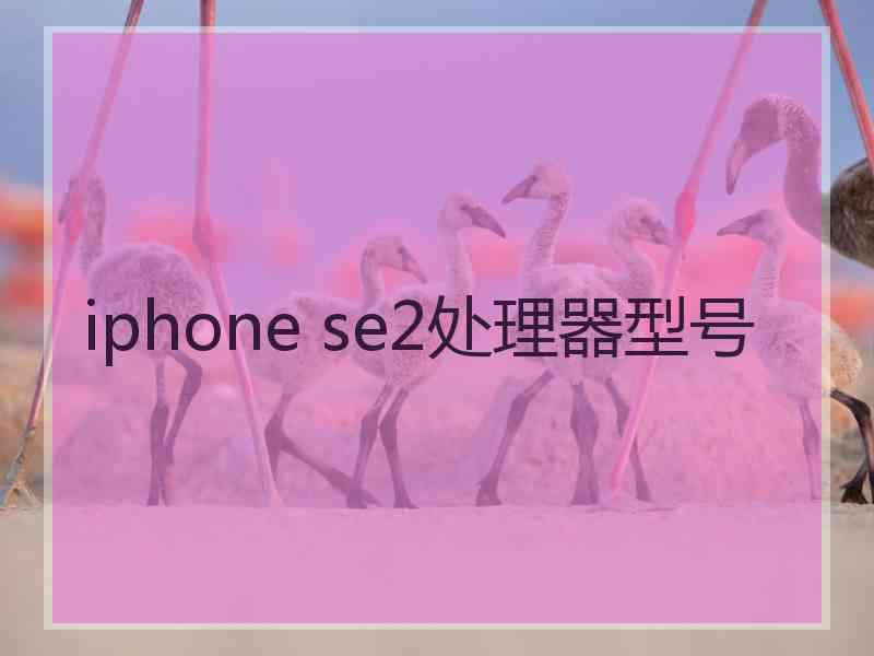 iphone se2处理器型号