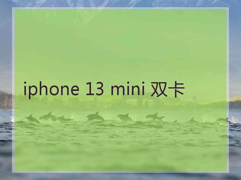 iphone 13 mini 双卡