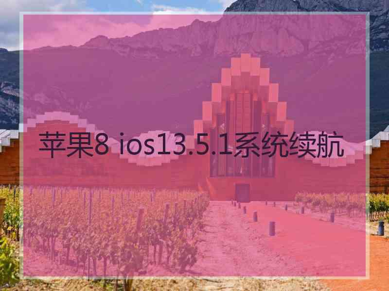 苹果8 ios13.5.1系统续航