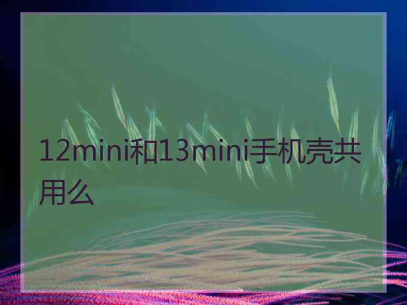 12mini和13mini手机壳共用么