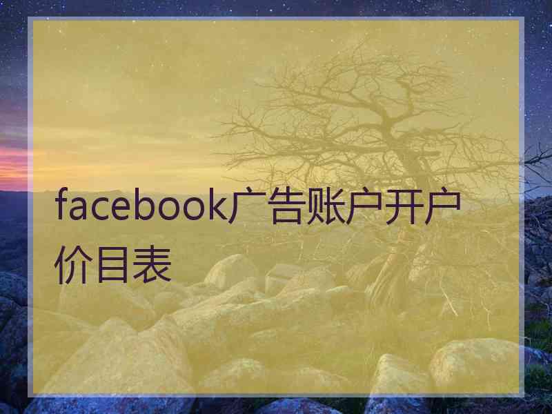 facebook广告账户开户价目表