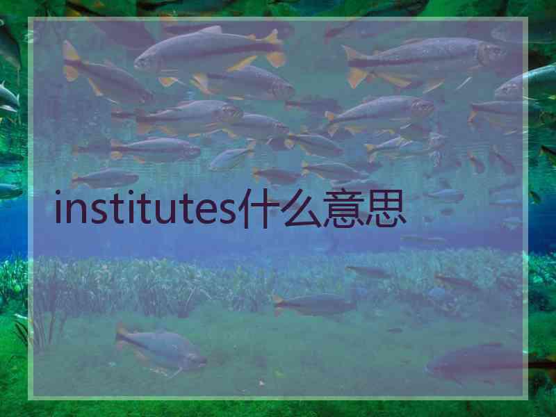 institutes什么意思