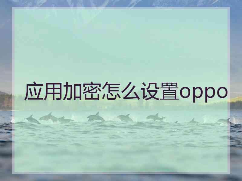 应用加密怎么设置oppo