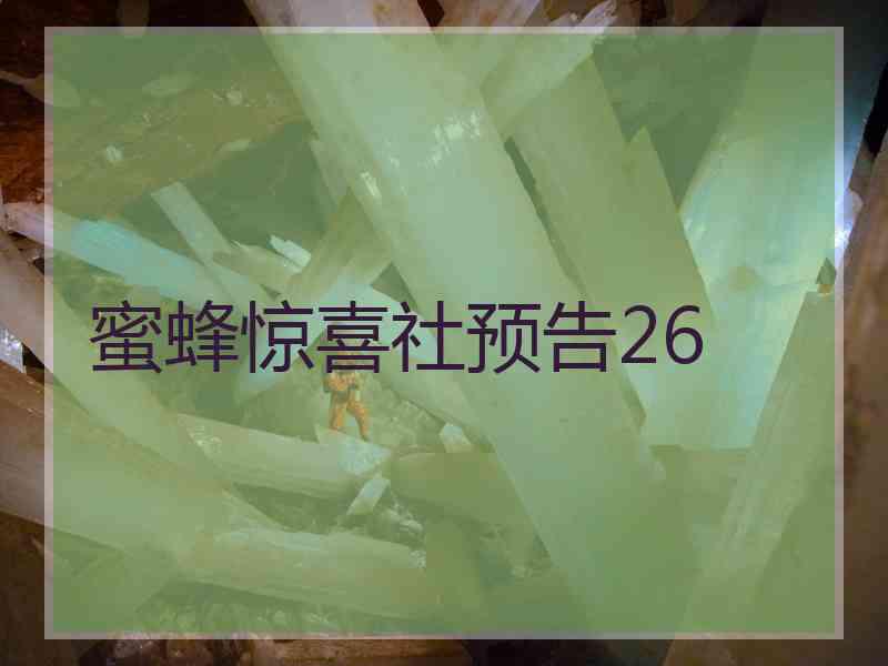 蜜蜂惊喜社预告26