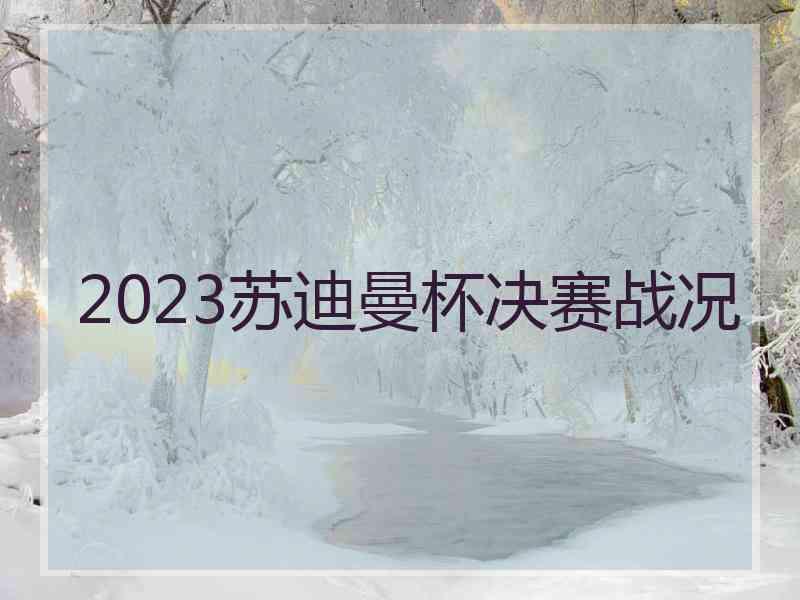 2023苏迪曼杯决赛战况