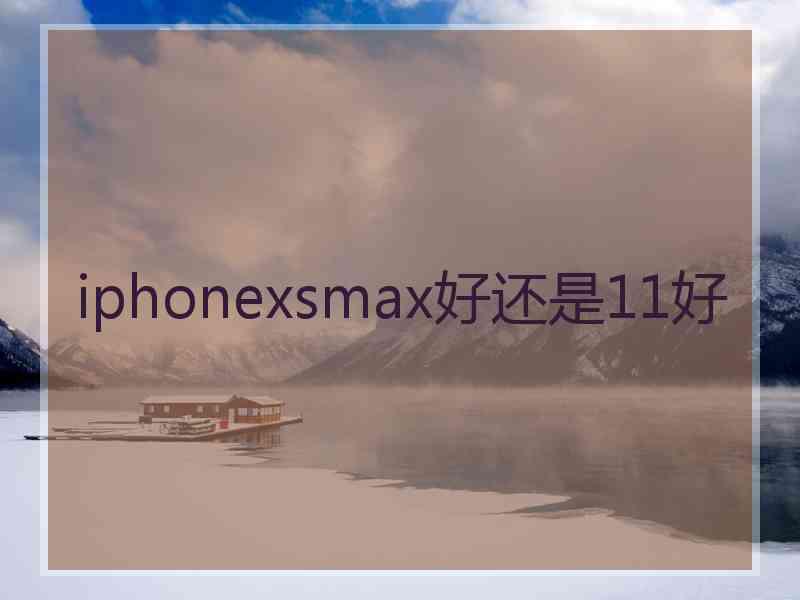 iphonexsmax好还是11好