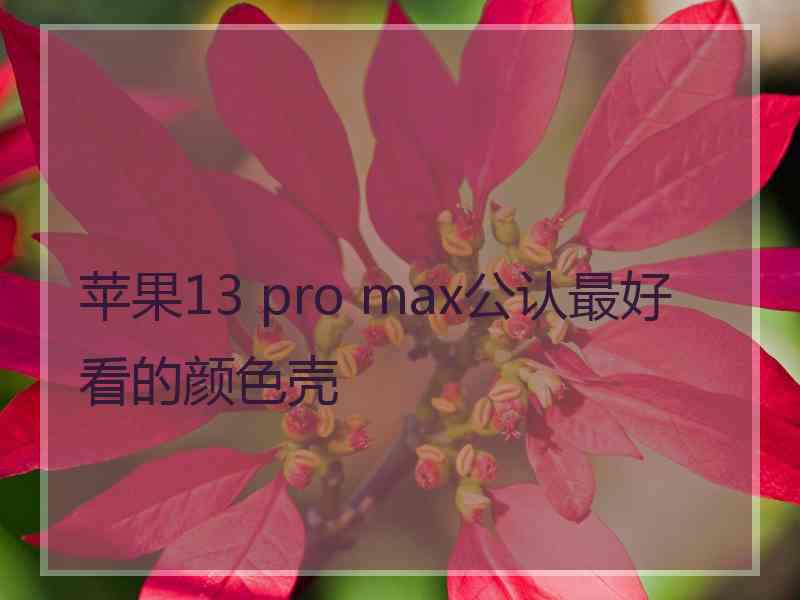 苹果13 pro max公认最好看的颜色壳