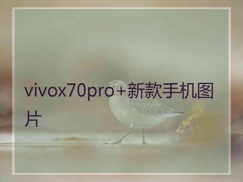 vivox70pro+新款手机图片