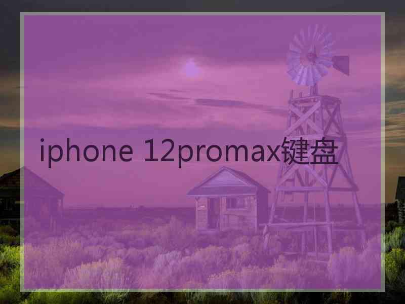 iphone 12promax键盘