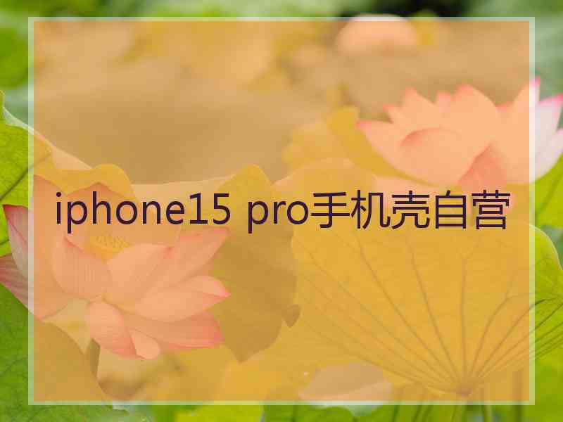 iphone15 pro手机壳自营