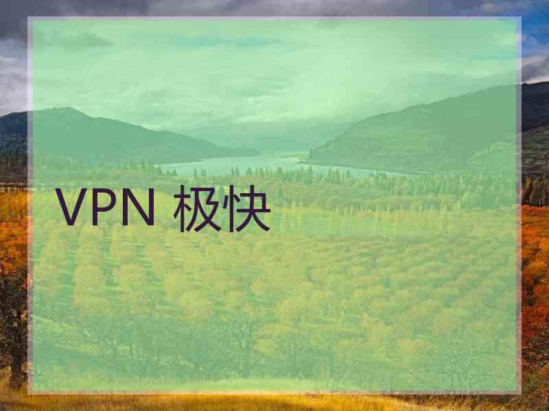 VPN 极快