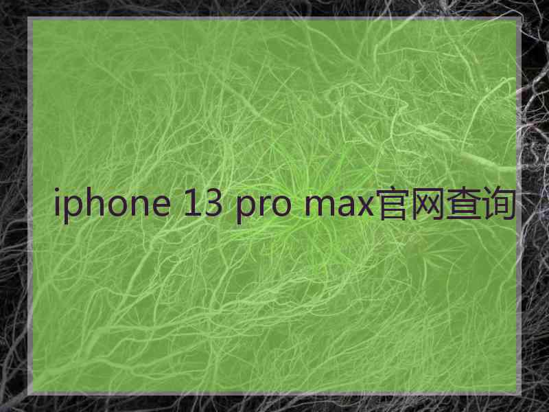 iphone 13 pro max官网查询