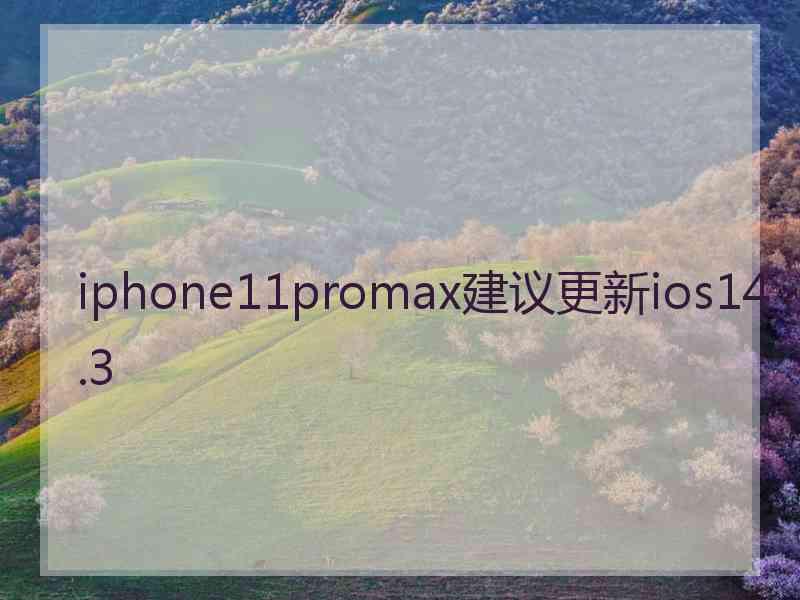 iphone11promax建议更新ios14.3