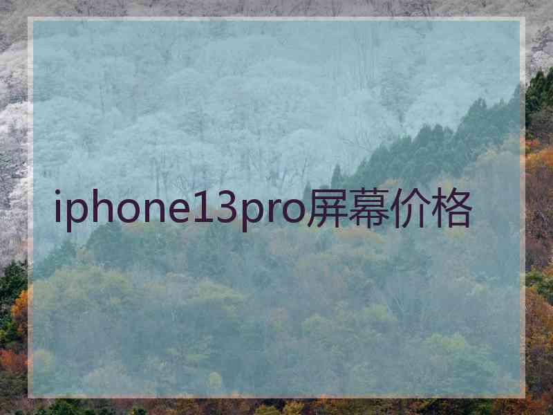 iphone13pro屏幕价格