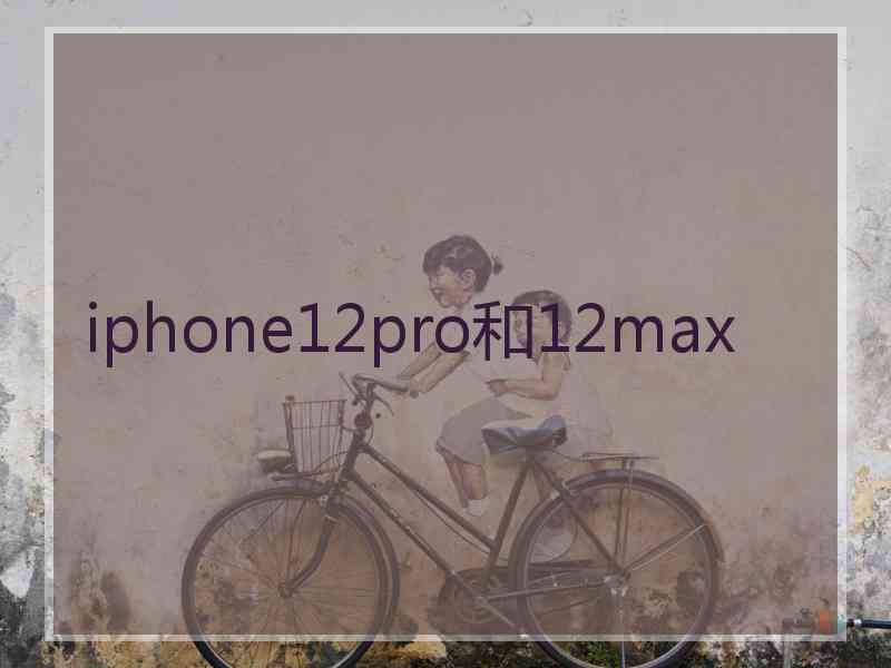 iphone12pro和12max