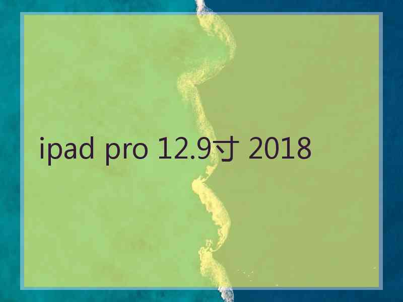 ipad pro 12.9寸 2018