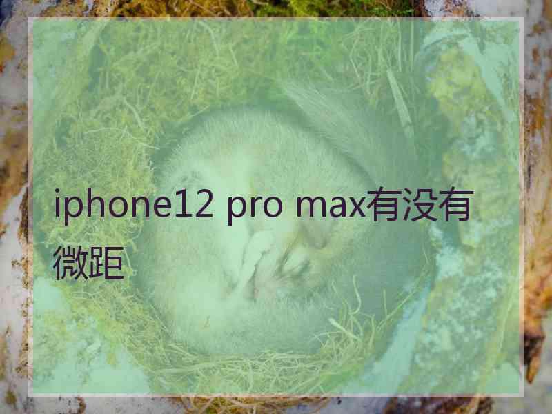 iphone12 pro max有没有微距