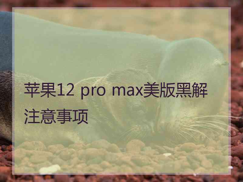 苹果12 pro max美版黑解注意事项