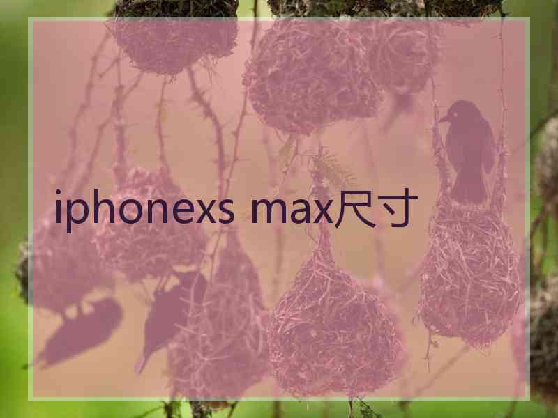 iphonexs max尺寸