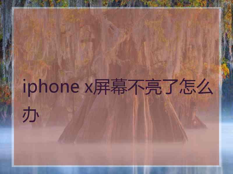 iphone x屏幕不亮了怎么办