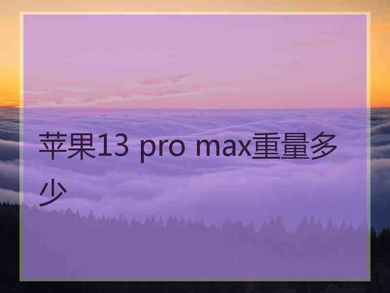 苹果13 pro max重量多少