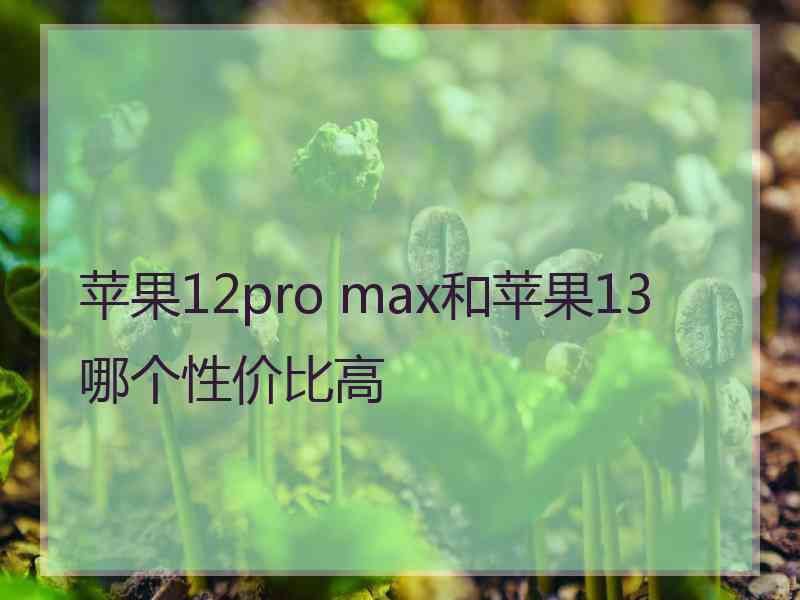 苹果12pro max和苹果13哪个性价比高