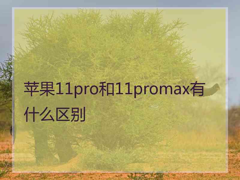 苹果11pro和11promax有什么区别