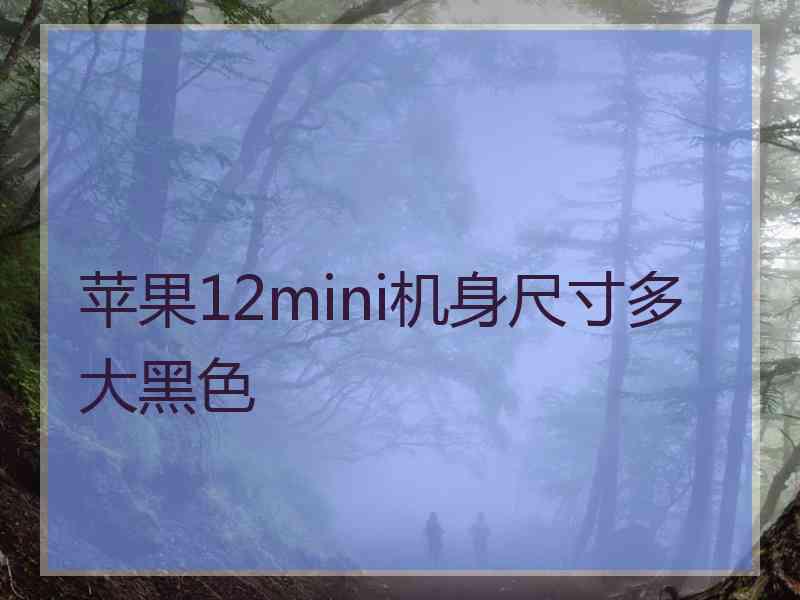 苹果12mini机身尺寸多大黑色