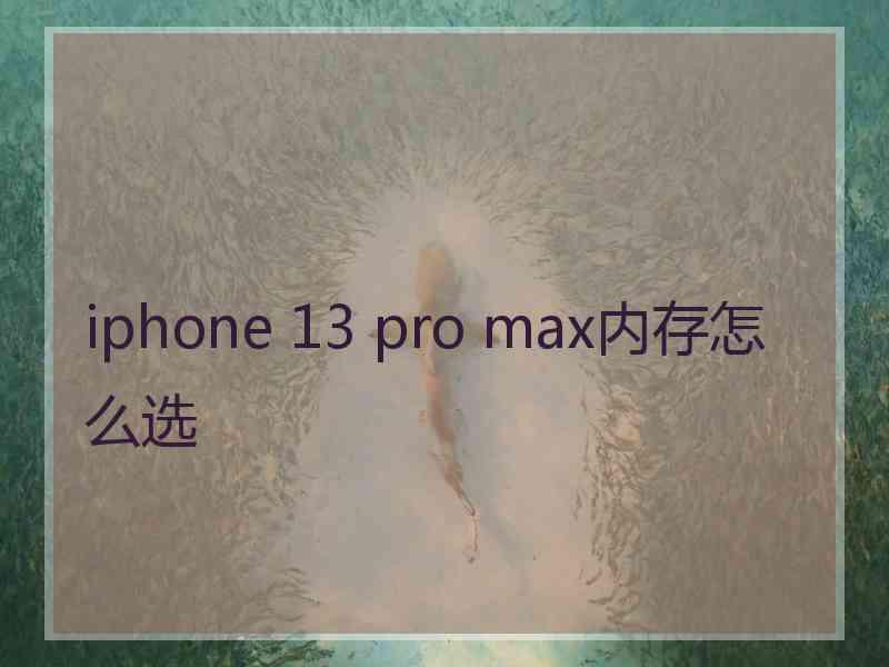 iphone 13 pro max内存怎么选